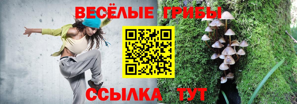 Псилоцибиновые грибы GOLDEN TEACHER Ипатово